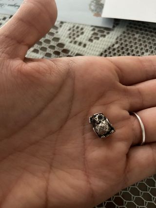 Buho pandora 