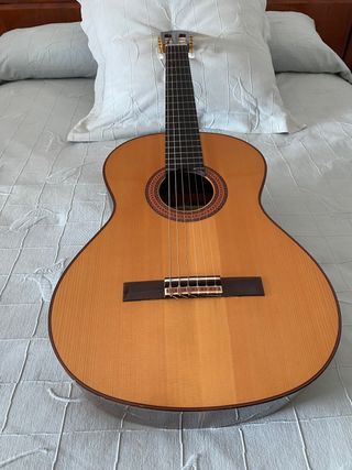 Guitarra Alhambra 7P A