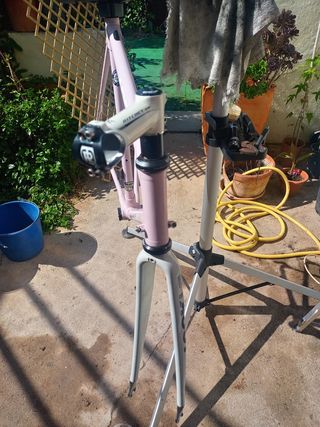 Look cuadro carbono talla 55