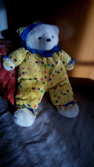 orso peluche