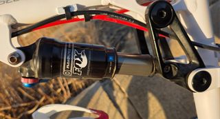 Bicicleta Focus Super Bud