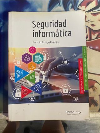 seguridad informatica