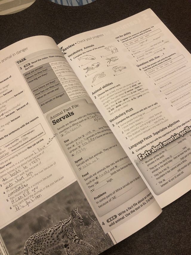 together workbook 1 eso ISBN: 9780194515832