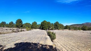 Casa de campo con gran terreno rústico