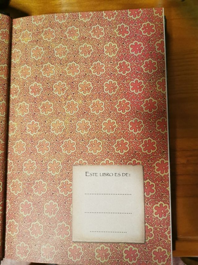 Los hechiceros días de Shirley