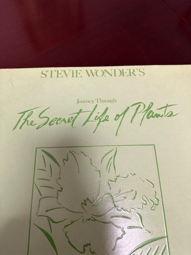 Disco de vinilo steve wonder’s