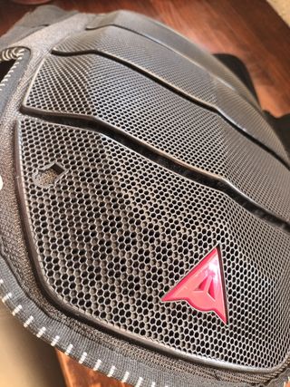 Protección espalda moto dainese