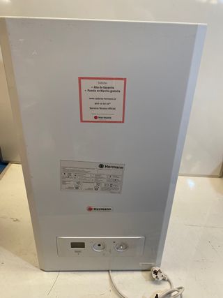 Caldera de Gas Natural