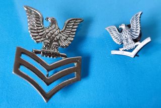 Insignia uniforme ejercito USA