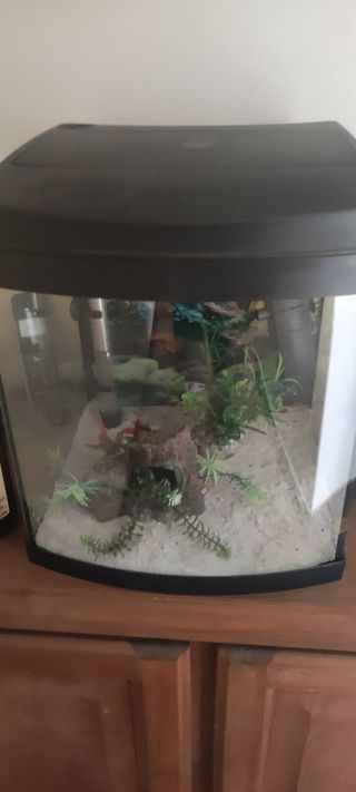 Acuario 30l.