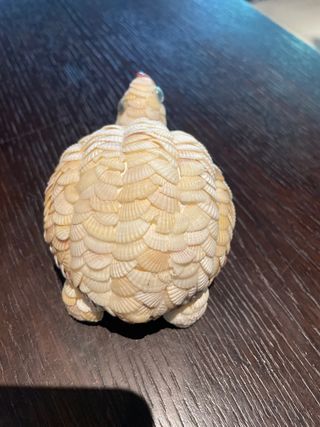 tartaruga decorativa
