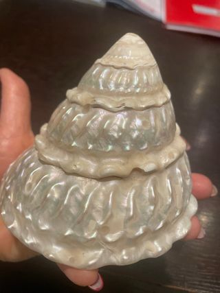 conchiglia madreperla