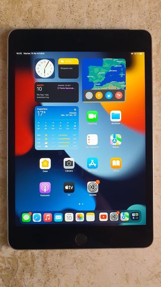iPad mini 4 (A1550)
