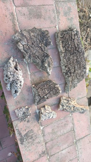 Pack corcho pesebre belén terrarios