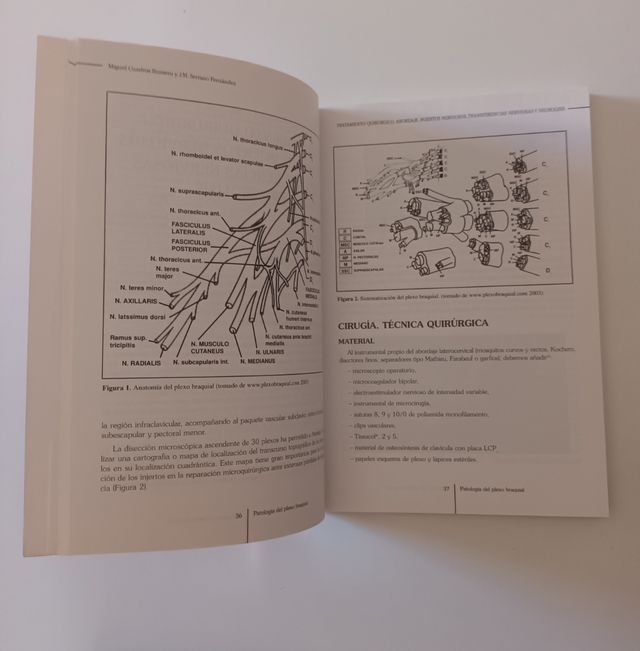 Libro - Patología Plexo Braquial