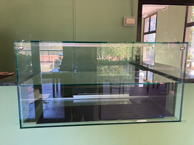 Vetrina negozio 100 x 50 x 50