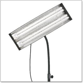 Estudio de Bodegón de sobremesa plegable