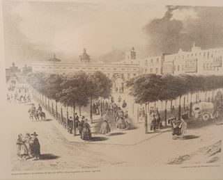 Cuadro lámina Cadiz