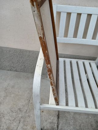 vecchio ritratto di antenata