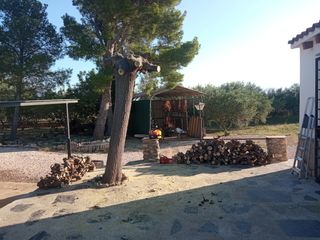 se hacen faenas jardinería se cortan árboles