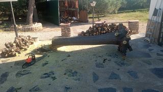 se hacen faenas jardinería se cortan árboles