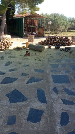 se hacen faenas jardinería se cortan árboles