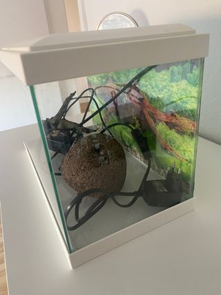Pecera 17L con acessorios, filtro, etc