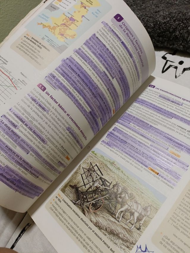 Libro Historia 1 Bach