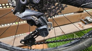 Btt Stevens Sonora
