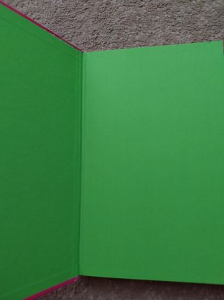 Libro Karina y Marina Secret Stars