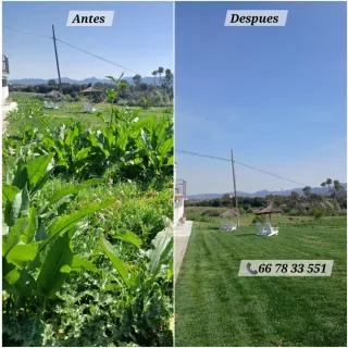 jardinero económico