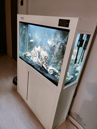 Acuario 220L