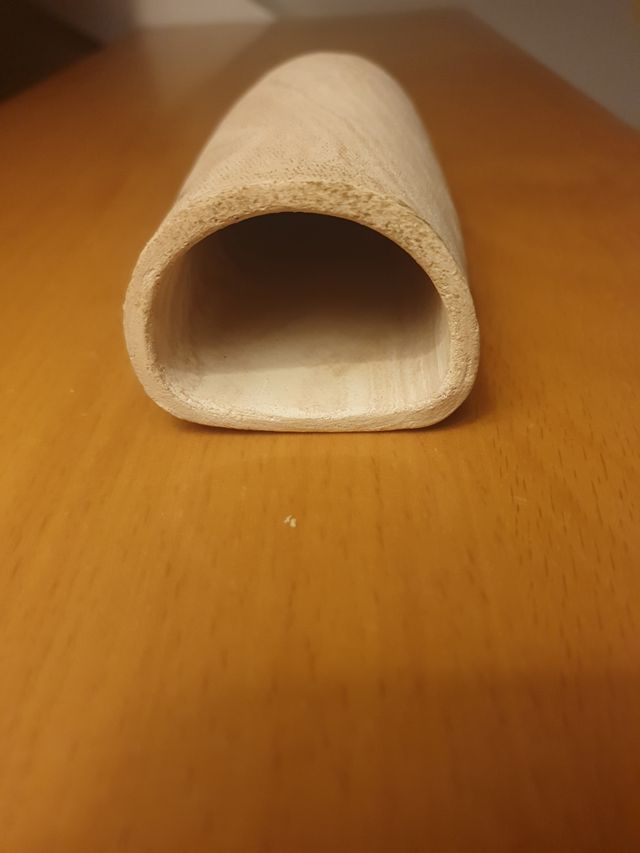 Cueva ancistrus acuario