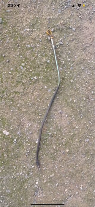 varilla aceite terrano 2