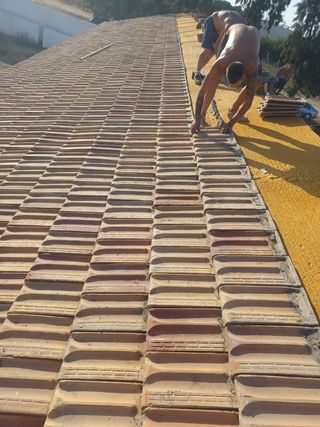 Cubiertas y tejas TLF.651429938