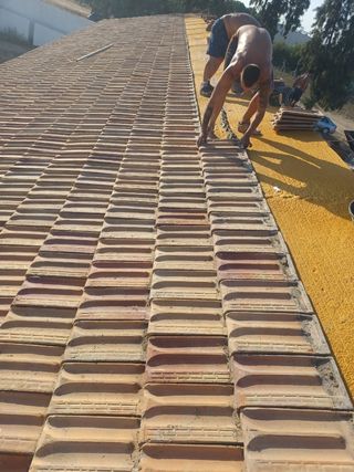 Cubiertas y tejas TLF.651429938