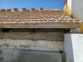 Cubiertas y tejas TLF.651429938