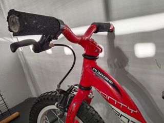 Bicicleta sin pedales Monty 