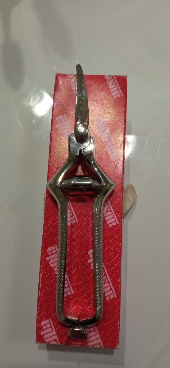 Masticatore nichelato Ausonia