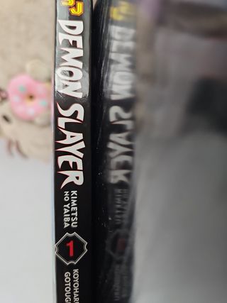 Manga 1 Demon Slayer