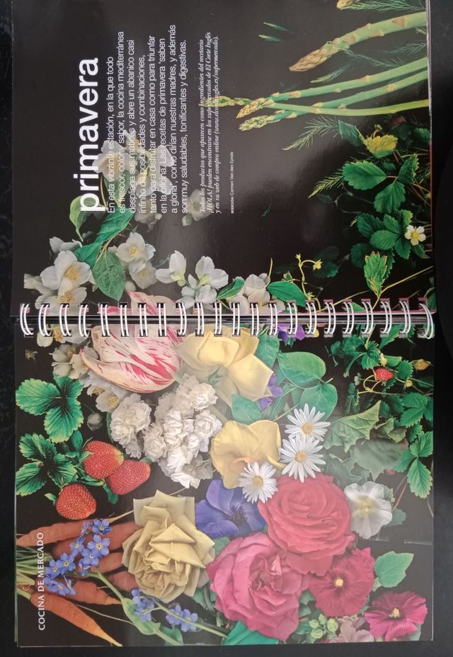 ¡HOLA!, especial cocina. 455 recetas.