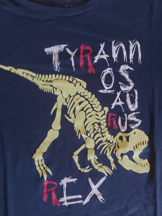 CAMISETA de DINOSAURIO 