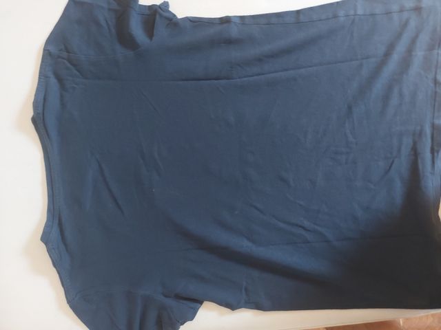 CAMISETA de DINOSAURIO 