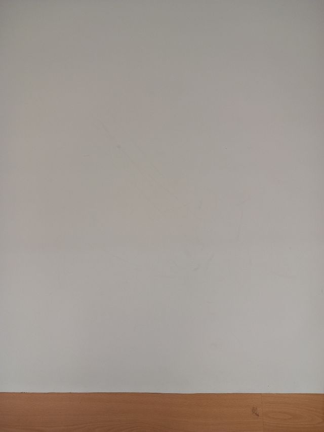 Fondo blanco fotografía