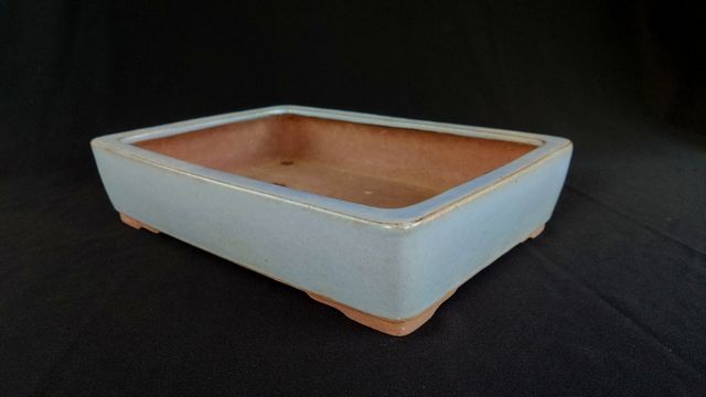 Maceta bonsai de Yamaaki 🇯🇵