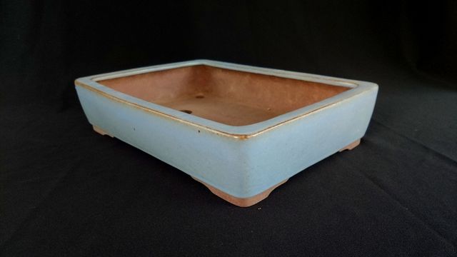 Maceta bonsai de Yamaaki 🇯🇵