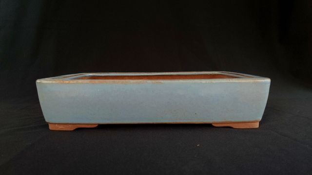 Maceta bonsai de Yamaaki 🇯🇵