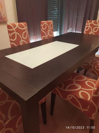 Mesa Salón+6 butacas