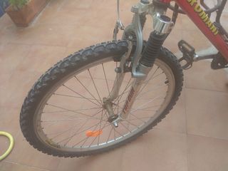 Bicicleta de montaña Romani