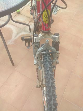 Bicicleta de montaña Romani